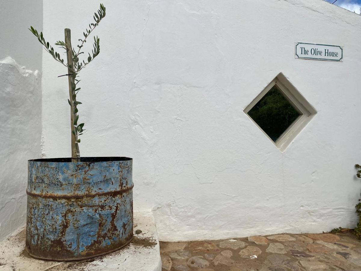 The Olive House, Prince Albert Exteriör bild