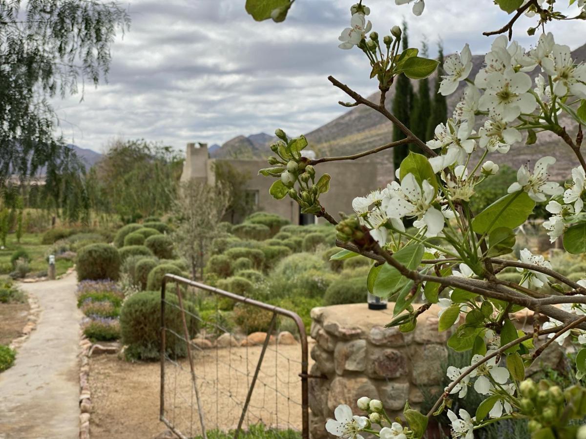 The Olive House, Prince Albert Exteriör bild